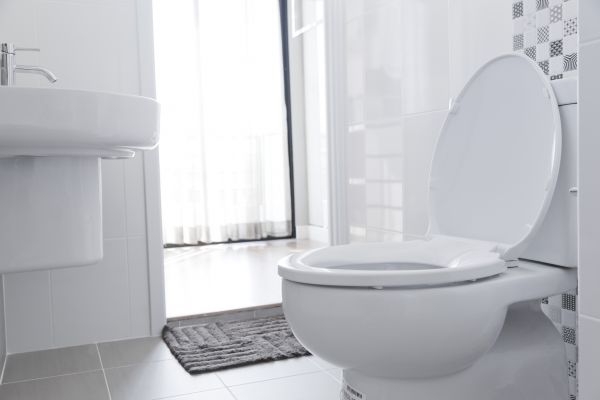 Cost of Toilet Relocation in Portland
